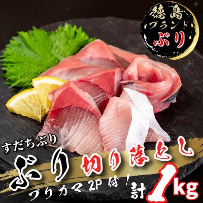 ふるさと納税 小松島市 ぶり 切り落とし ブリカマ2Pセット 計1Kg 徳島ブランド 鰤 ブリ 刺身 ぶりしゃぶ 冷凍 徳島