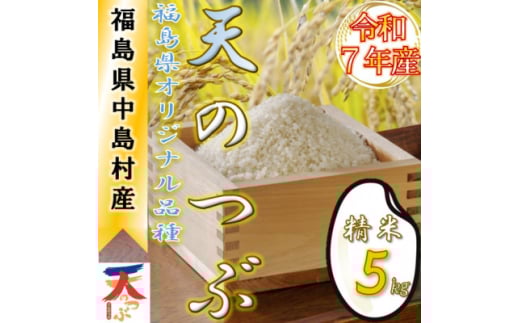 ＜数量限定/令和7年産＞中島村産『天のつぶ』(精米)5kg【1633135】