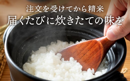 【3ヵ月定期便】丹波 コシヒカリ 令和8年産 5kg 精米 新鮮 白米 兵庫県丹波市産 寒暖差 甘み 精米したて
