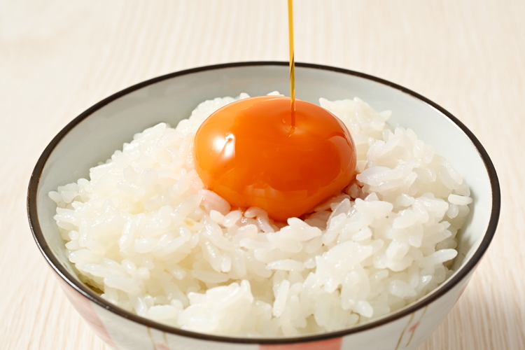 【8ヶ月定期便】料理人も「うまい！」と絶賛 昔の味たまご 20個入り（18個＋割れ補償2個）×8か月| 卵 鶏卵 玉子 たまご 生卵 国産 濃厚 コク 卵かけご飯 旨味 旨み ※着日指定不可