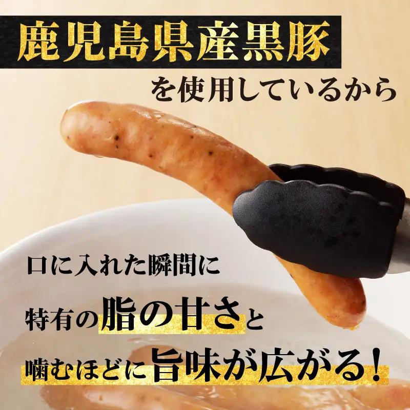 鹿児島黒豚ウインナー10P K161-016 肉 豚肉 惣菜 総菜 冷凍