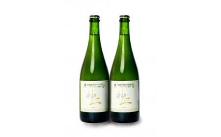 北海道上ノ国町 上ノ国ワイナリー「上の白ナイアガラ2022」　750ml×2本