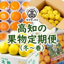 【ふるさと納税】 高知の果物 定期便(冬～春) 全4回（1月〜4月お届け） 高知 文旦 高知県 みかん