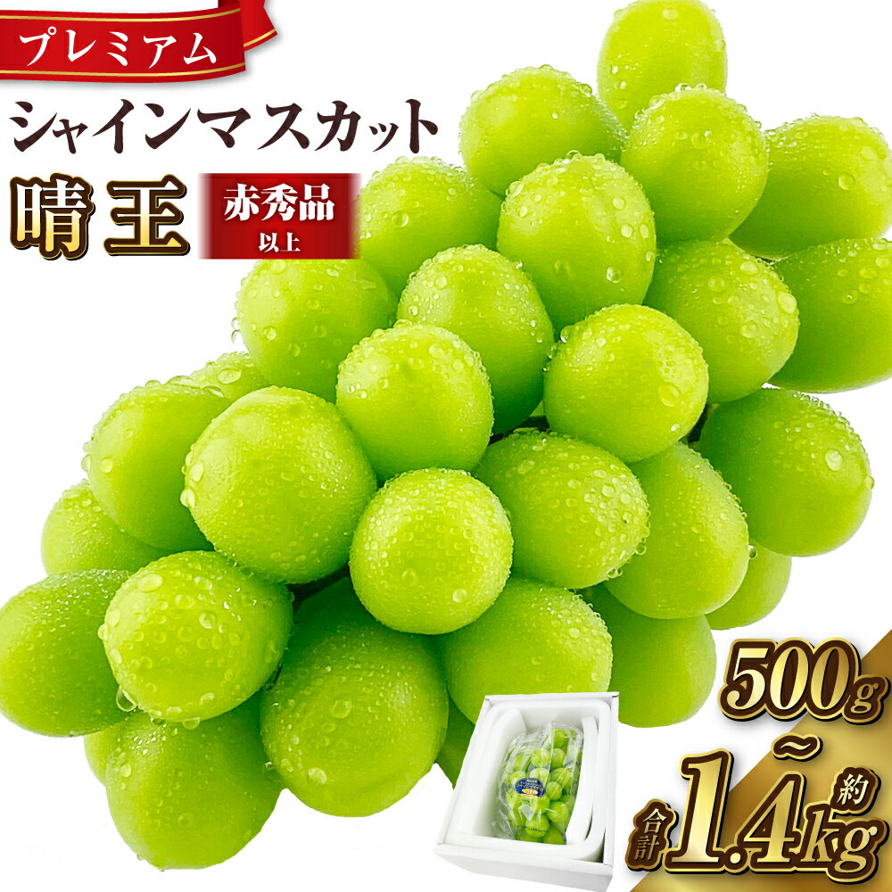【ふるさと納税】 プレミアム シャインマスカット 晴王 1房～2房（計約500g～約1.4kg）＜選べる容量＞ぶどう 2025年度分 先行予約 赤秀品以上 ギフト ハレノフルーツ 皮ごと 種なし 果物 フルーツ 倉敷市【2025年9月上旬～10月下旬 発送予定】 楽天スーパーSALE 9月開催