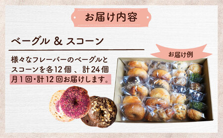 【全12回定期便】厳選おすすめ ベーグル ＆ スコーン 各12個 (24個セット)  BCAE016 パン