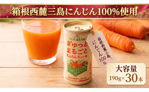 にんじん 100％ ジュース 190g 30本 セット にんじんジュース 野菜ジュース 人参 ぎゅっとまるごと 箱根西麓 国産 濃厚 甘味 朝食 贈り物 東平商会 三島市 静岡県