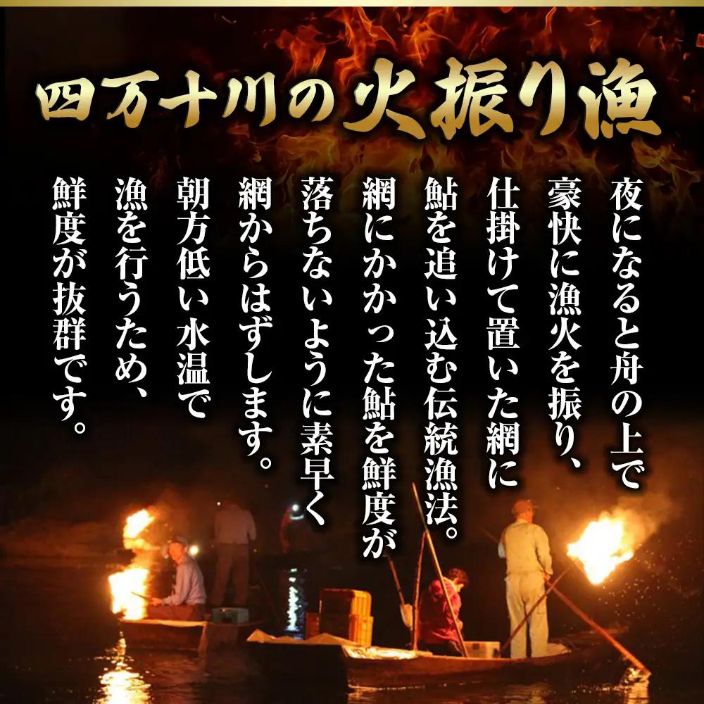 【四万十川の天然鮎】特大サイズ一夜干し5枚セット ／Esg-A27 あゆ アユ 鮎 川魚 あゆの塩焼き