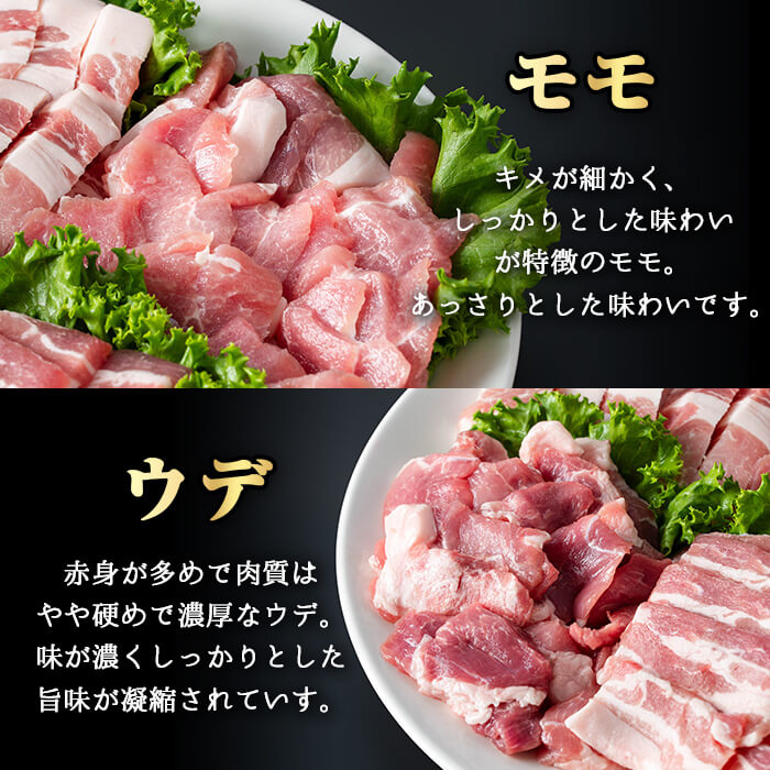 ＜内容量が選べる！＞鹿児島県産霜降りトロ豚 焼き肉用バラエティセット (合計1kg) 鹿児島県産 豚肉 霜降り 【KNOT】 A564 【合計1kg】