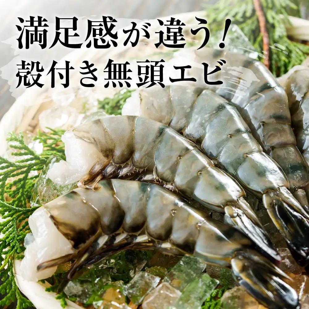 特大 ブラックタイガー 無頭えび 570g前後15尾