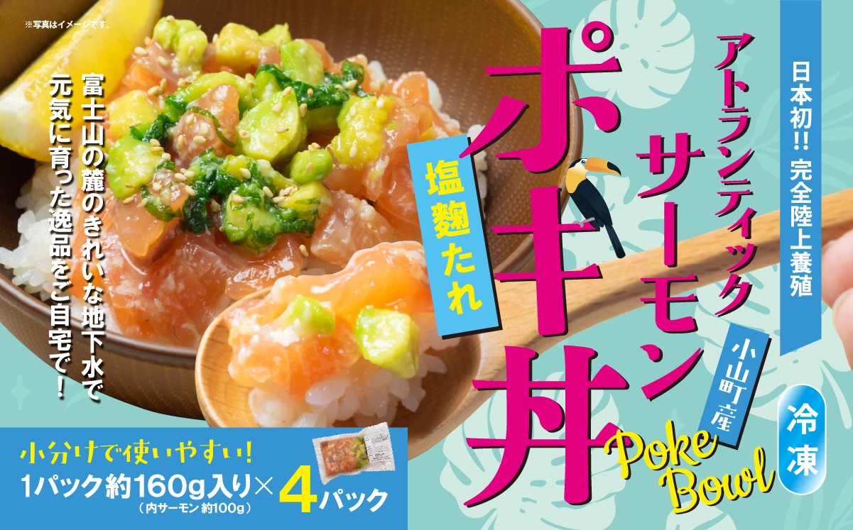 
                  日本初 完全陸上養殖 静岡県小山町産 アトランティックサーモン 冷凍 ポキ丼 （ 約160g × 4パック ）塩麴たれ | サーモン 小分け 真空パック 刺身 海鮮丼 海鮮 魚介 アボカド サーモン丼 国産 鮭 養殖 静岡県 小山町
                