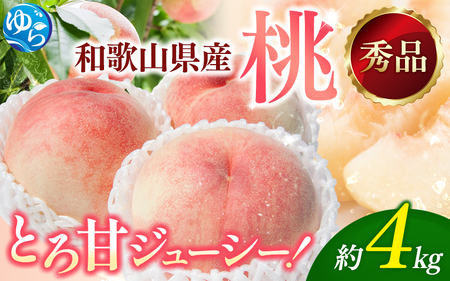 桃 秀品 和歌山の桃　約4kg  ※2026年6月下旬～8月上旬頃順次発送【tec911B】