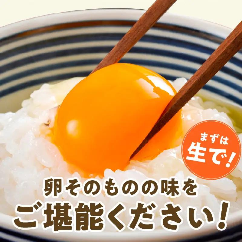 戸野さん家のこだわりタマゴ 定期便 60個×全6回 Mサイズ 合計 360個【毎月配送コース】