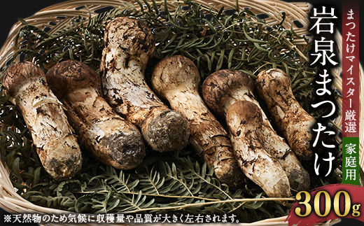 【2026秋発送】【自家用】岩泉まつたけ 300g【配送不可地域：離島】