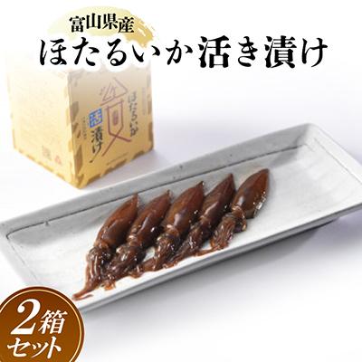 ふるさと納税 富山県 ほたるいか活き漬け2箱セット