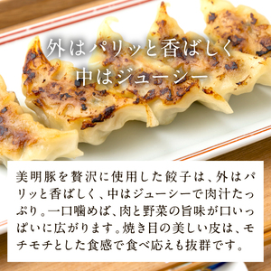 美明豚「びめいとん」のジューシー餃子 2パック(30個入り×2袋)｜餃子 ぎょうざ ギョウザ 美明豚 びめいとん 肉 肉加工品 豚肉 お肉 ジューシー 茨城県 行方市(HJ-2)