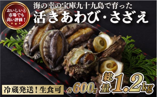 A176p 九十九島あわび(600g)･さざえ(600g) 生食 新鮮 魚介 魚貝 贈答 お中元 お歳暮 ギフト