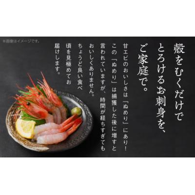 ふるさと納税 小松市 昆布〆・甘エビセット 2人前 魚刺身 昆布締め(真鯛 平目) 甘エビ ※冷凍でお届け |  | 01