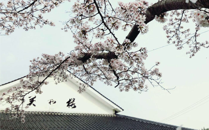 美和桜 特別純米酒 三次で作った雄町のお酒 1800ml 日本酒 お酒 人気 地酒 酒 広島 三次市/美和桜酒造 [APBF010]