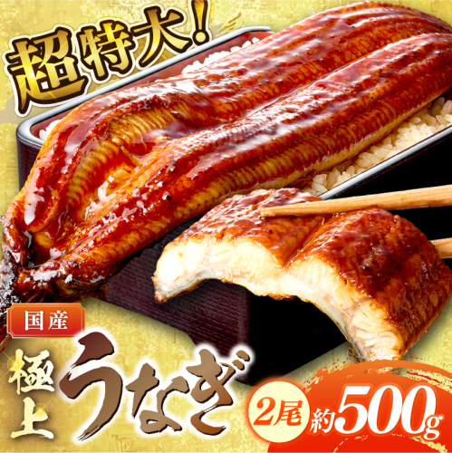 超特大！極上！国産うなぎ蒲焼 2尾 合計500g前後 ふるさと納税 鰻 九州産 国産 ウナギ 有頭 蒲焼き うな丼 うな重 うなぎ 国産