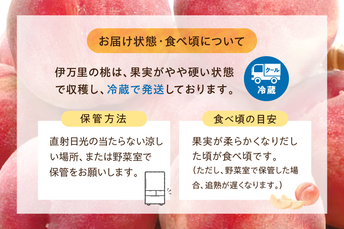 【先行予約】伊万里の桃 2個×6パック B123