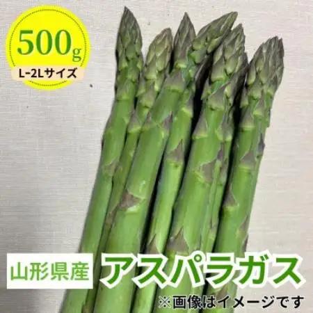 令和8年 山形県川西町産 雪国朝採れアスパラガス(夏)　L～2L サイズ　500g【配送不可地域：離島・北海道・沖縄県・信越、北陸・近畿・中国・四国・九州】【1764664】