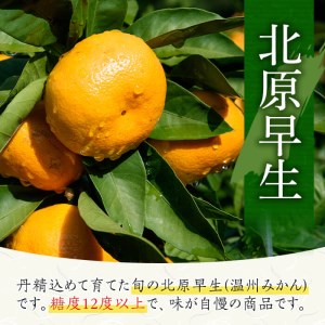 【11月中旬頃発送開始】JAさつま日置産 北原早生（温州みかん） 合計約5kg 厳しい基準をクリアした 甘い みかん をご自宅で！【A-1766H】