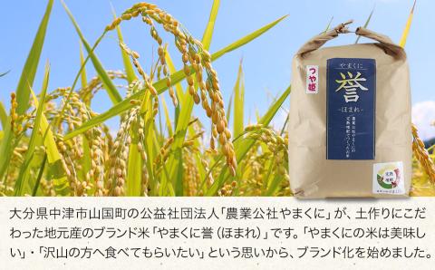 【先行予約】【3ヶ月定期便】九州米・食味コンクール最優秀賞受賞 令和6年産 大分県中津市産 やまくに誉 つや姫  5kg×1袋 (毎月1回)   お米 精米 白米 九州産 熨斗対応可