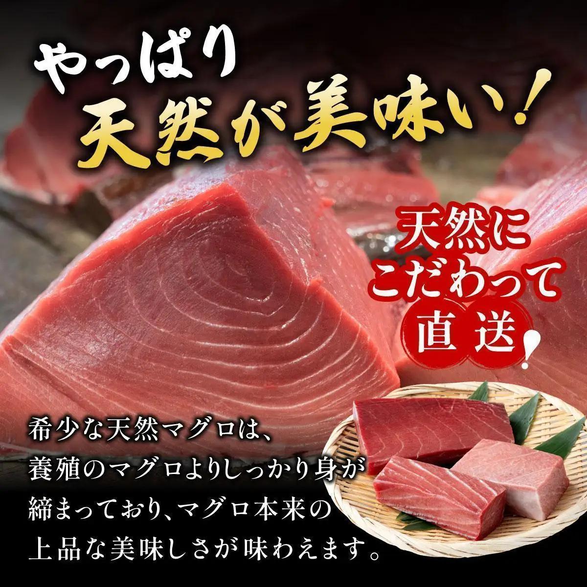 石垣島産 天然本マグロ 赤身 & 大トロ 約400g 