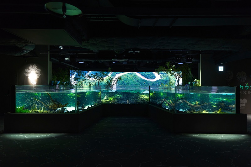 カワスイ 川崎水族館ペアチケット　