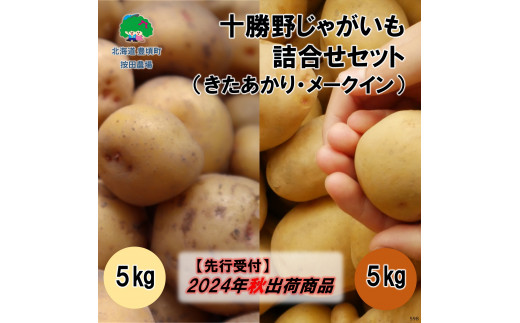 
十勝野じゃがいも詰合せセット10kg（きたあかり・メークイン）【2024年秋出荷】（先行受付）［按田農場］
