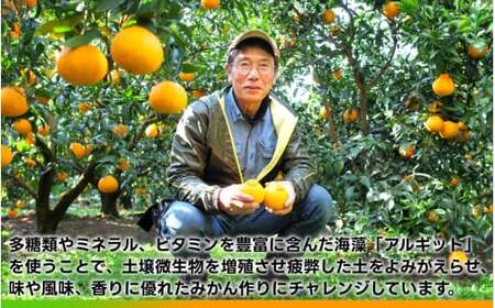 タカじいの 不知火 ( しらぬい ） 3kg / デコポン 甘い 和歌山 有田 柑橘 ※2027年3月上旬〜3月下旬に順次発送 【krs010-r-3A】
