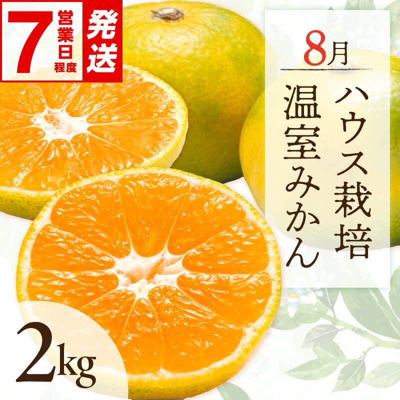 【ふるさと納税】＼お中元 のし対応／〈 ご入金確認から7営業日程度で発送！ 〉8月の御浜柑橘 温室みかん 2kg │ みかん 光センサー選果 高級品 国産 柑橘 フルーツ 果物 夏 旬 食品 産地直送 期間限定 夏ギフト お中元ギフト のし対応可 ギフト対応可【時期指定・のし可】