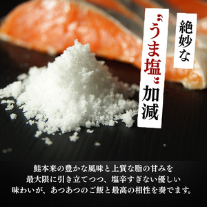 極厚 甘塩 銀鮭 切身 8切（約1kg）新潟県 上越市  創業52年しみず屋特製  ふっくら ジューシー 鮭 しゃけ サーモン  お弁当  冷凍  切り身  お取り寄せ  グルメ  送料無料　真空パッ