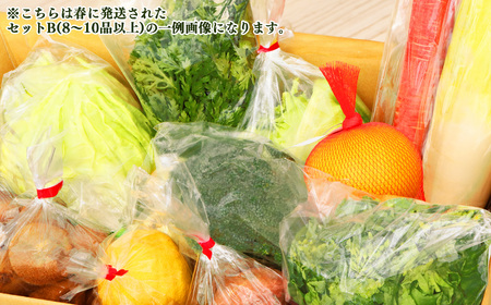 季節の野菜セットB | 詰め合わせ 果物 新鮮 お試し おすすめ 冬 春 夏 秋 国産 奈良県 五條市