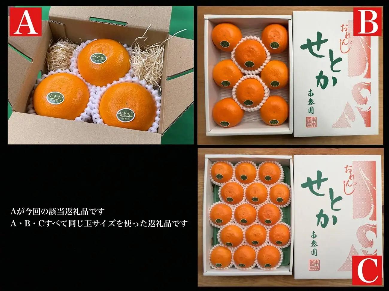お試し規格 柑橘の大トロ ハウス せとか 厳選 小玉 3玉入 手さげ箱 南泰園 和歌山 有田 高級せとか 小玉 ハウス 温室 化粧箱入り 甘い