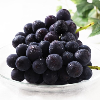 【発送月固定定期便】2026年先行受付　フルーツギフト専門店が選ぶ山梨市の厳選フルーツ定期便　全3回【配送不可地域：離島・沖縄県】