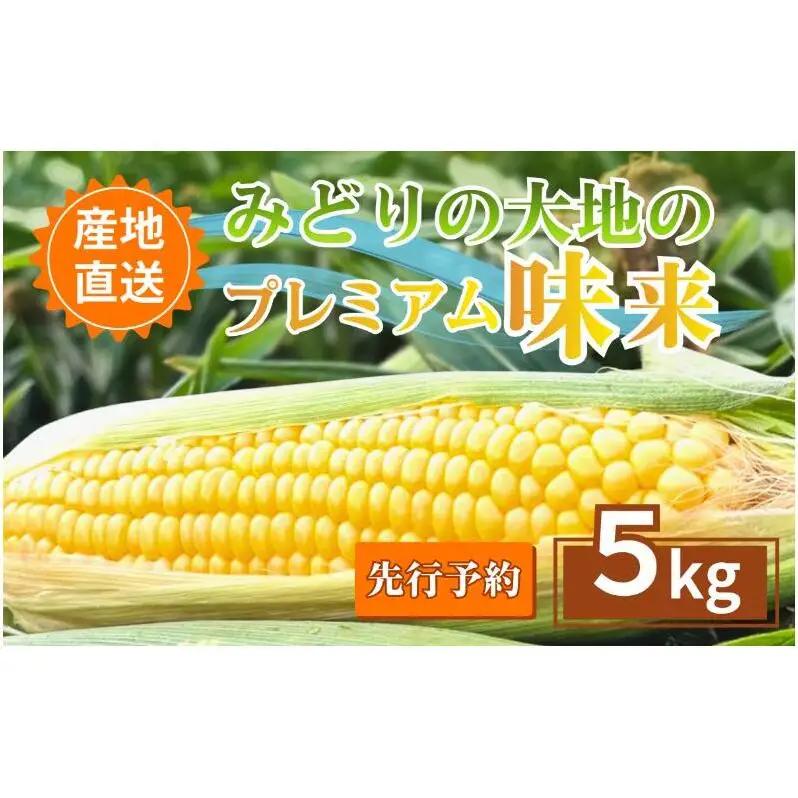 【先行予約】とうもろこし プレミアム味来 みどりの大地 5kg（8～12本入り） 茹でとうもろこし スイートコーン ミラクルコーン 甘いコーン 野菜 長野県 信州 上田