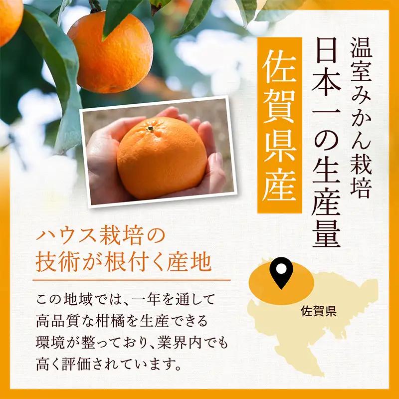 『先行予約』【令和9年3月上旬より順次発送】◎にじゅうまる◎ 5kg 佐賀県産【高級柑橘みかん】