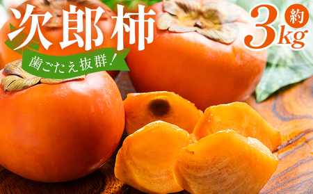 【2026年10月下旬より順次配送】次郎柿 3kg 高知県 香南市 果物 くだもの フルーツ 柿 かき カキ nm-0003