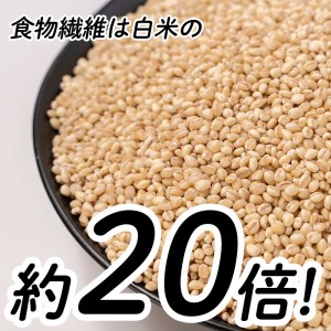 はだか麦 5kg 1kg 小分け 5袋 大麦 上質 種 もち麦 同様 水溶性 食物繊維 裸麦 はだかむぎ 国産 愛媛 産 グルカン 送料無料 徳用 雑穀 麦 むぎ