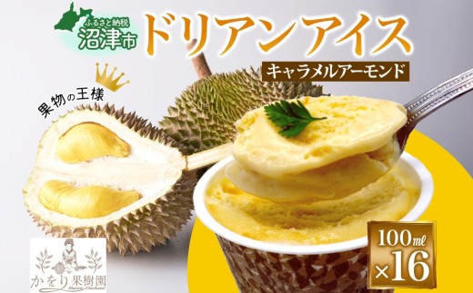 【予約受付】 ドリアン ココナッツ キャラメルアーモンド アイスクリーム 100ml 16個 濃厚 ココナッツミルク スイーツ お菓子 ソフトクリーム おやつ デザート ご当地アイスセット 詰め合わせ お取り寄せ ギフト お返し かをり果樹園 静岡県 沼津