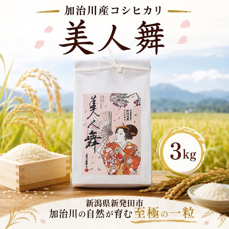【ふるさと納税】 美しさピカイチ 令和8年産 コシヒカリ 3kg 精米 こしひかり 米 お米 こめ ごはん ご飯 朝食 昼食 夕飯 炊きたて プレミアム 美人舞 こだわり 美しさ 輝き JGAP GAP認証 和食 8年産 加治川 加治川産 新潟産 新潟県 新発田市 新発田 アグリ加治川 agk010_01