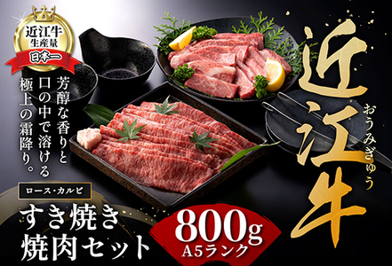 【3月末までに発送】近江牛A5ランク焼肉・すき焼セット【800g】【DG11SM-3m】