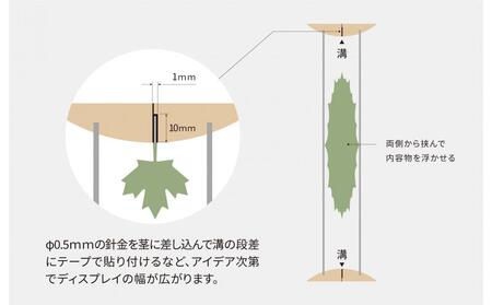ディスプレイフレームfufua rectangle（フーファ・レクタングル）