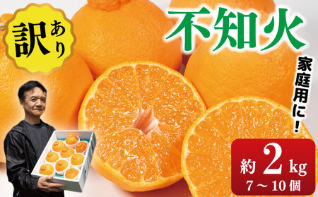 訳あり 不知火 約2kg 7～10個入り しらぬい 不知火 みかん ミカン ミカン