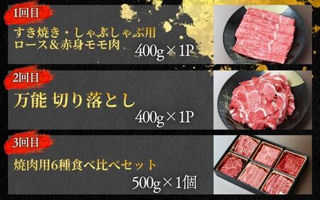 【3回定期便C】牛肉 美熊野牛 牛肉定期便【okad-tkb0013】