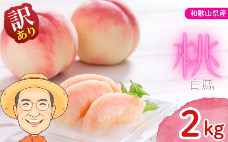 
            【訳あり】桃 白鳳 約2kg 箱 (8～9個) サイズ不揃い カキエモン農園 【2026年6月下旬～7月下旬頃順次発送】 クール便 送料無料 熨斗 ギフト 贈答 もも momo モモ 果実 完熟 カキエモン 農園 紀州 熱中症 夏バテ 果物【BX-kkem029】
          