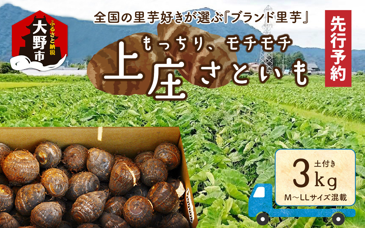 
                  【先行予約】満天☆上庄産さといも3kg【2026年11月～2027年3月発送】 日本一の味をめざし、有機肥料配合、減農薬栽培の「独自栽培」で作る里芋
                