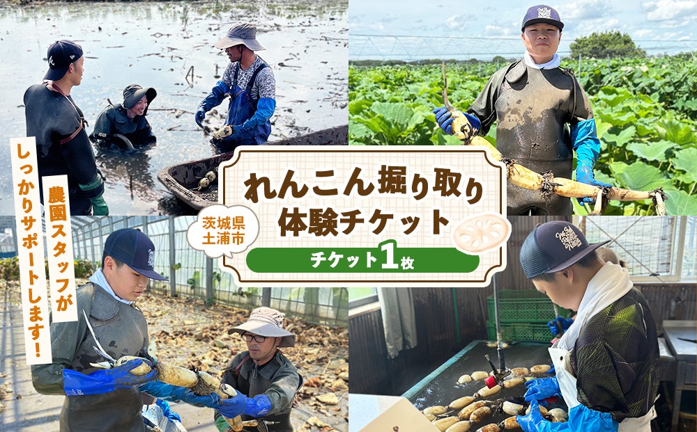 
                  テレビで見たやつ！！ れんこんの田んぼに入って、高水圧ホースで掘り取りを体験してみよう！ れんこん掘り取り体験チケット（1グループ最大4名まで）※身長150cm以上
                