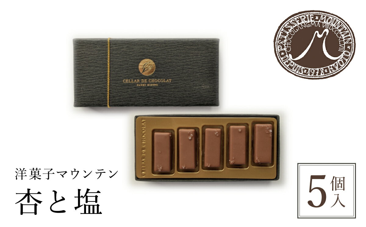 【ふるさと納税】洋菓子マウンテン 杏と塩 （各5個入）【fc-EA001】【ショコラナビ】